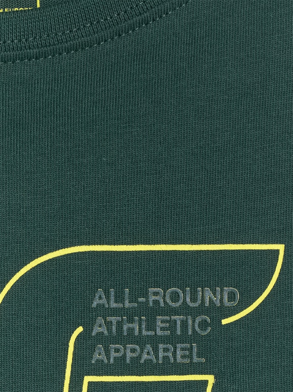 Chłopięcy t-shirt z nadrukiem 4F 4FJWAW25TTSHM2417 - zielony