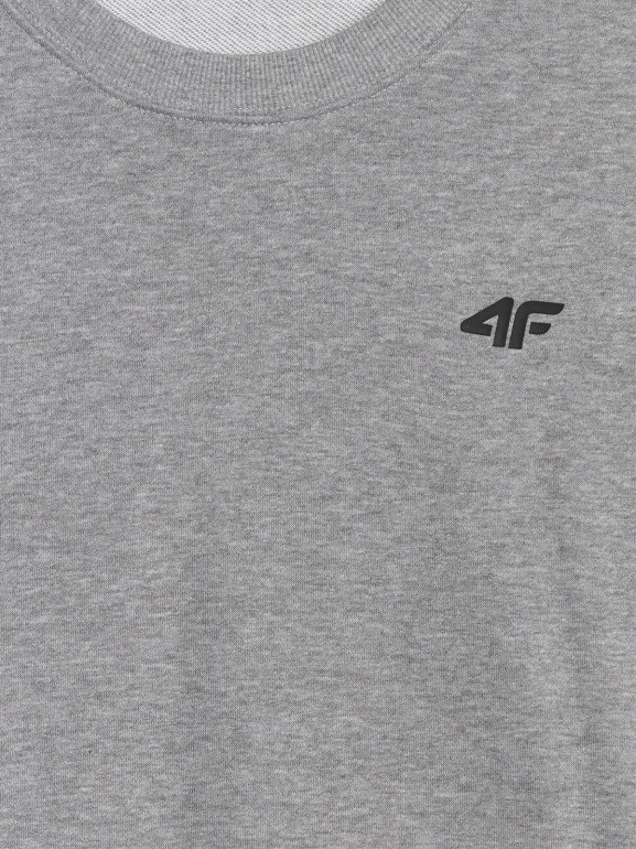 Męska bluza dresowa nierozpinana bez kaptura 4F 4FRMM00TSWSM2478 - szara