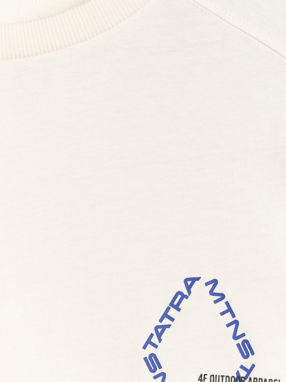 Męski t-shirt oversize z nadrukiem 4F 4FWAW25TTSHM2401 - beżowy