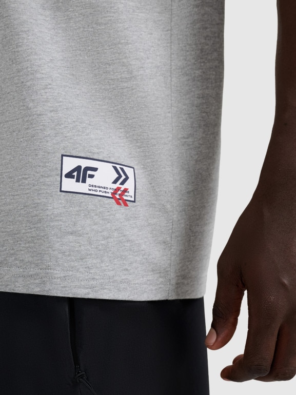 Męski t-shirt z nadrukiem 4F 4FRAW25TTSHM3257 - szary