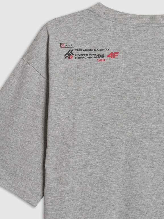 Męski t-shirt z nadrukiem 4F 4FRAW25TTSHM3257 - szary