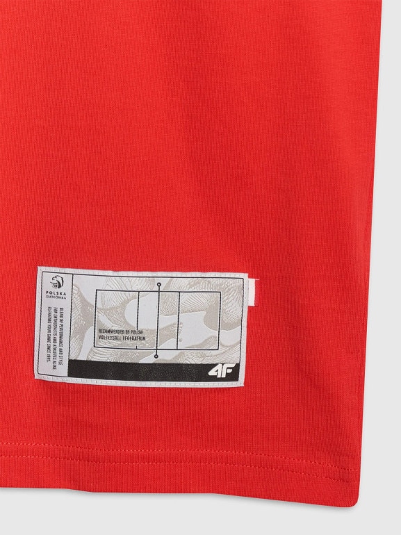 Męski t-shirt z nadrukiem 4F 4FRAW25TTSHM3319 - czerwony