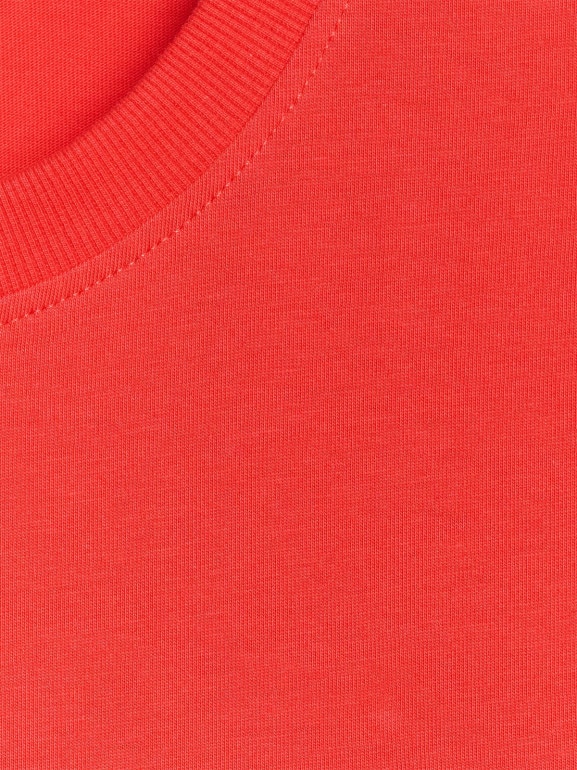 Męski t-shirt z nadrukiem 4F 4FRAW25TTSHM3319 - czerwony