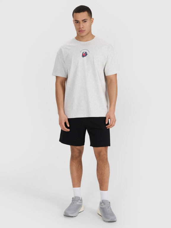 Męski t-shirt z nadrukiem 4F 4FRSS25TTSHM2981 - szary