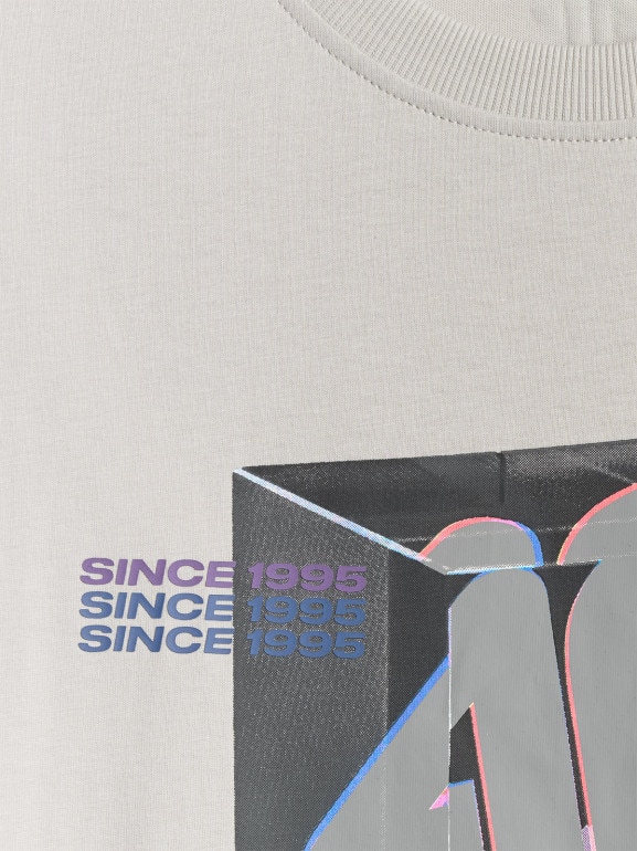 Męski t-shirt z nadrukiem 4F 4FRSS26TTSHM3657 - szary