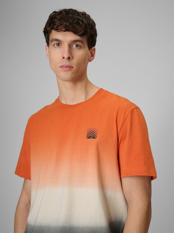 Męski t-shirt z nadrukiem 4F 4FRSS26TTSHM3815 - multikolor