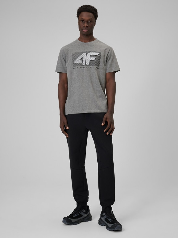 Męski t-shirt z nadrukiem 4F 4FRSS26TTSHM3991 - szary