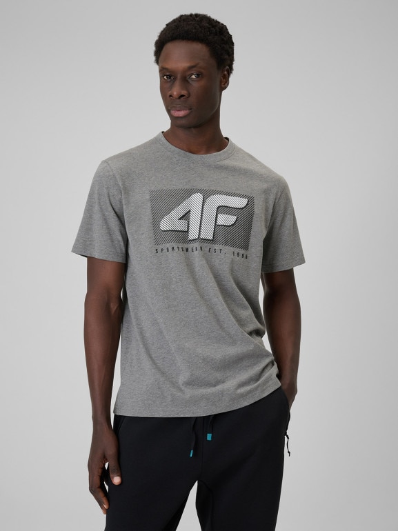 Męski t-shirt z nadrukiem 4F 4FRSS26TTSHM3991 - szary
