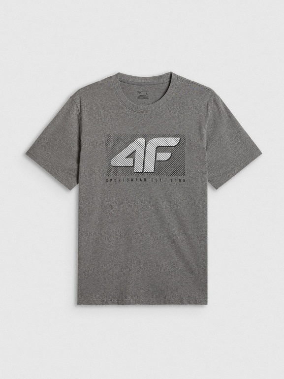 Męski t-shirt z nadrukiem 4F 4FRSS26TTSHM3991 - szary