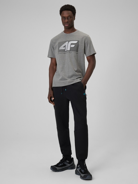 Męski t-shirt z nadrukiem 4F 4FRSS26TTSHM3991 - szary