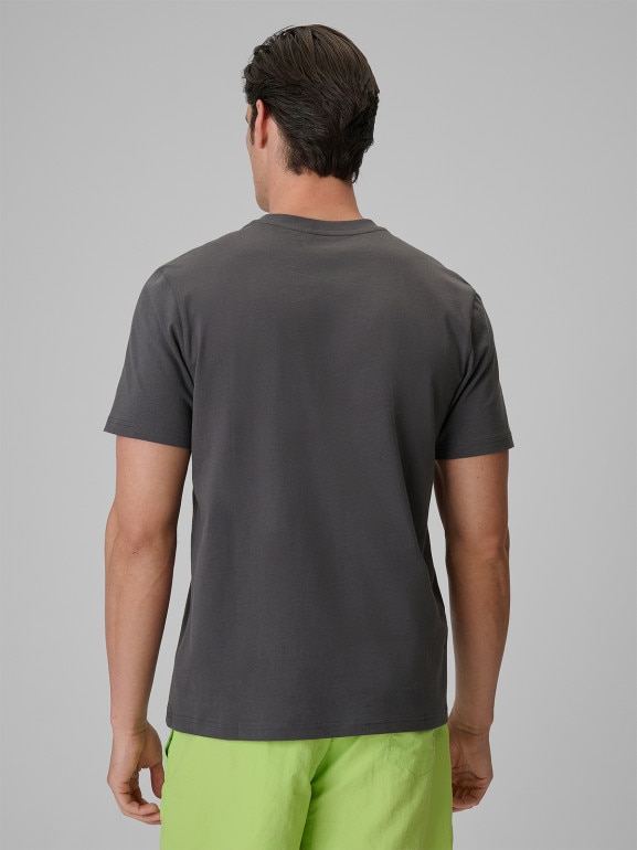 Męski t-shirt z nadrukiem 4F 4FRSS26TTSHM4301 - szary