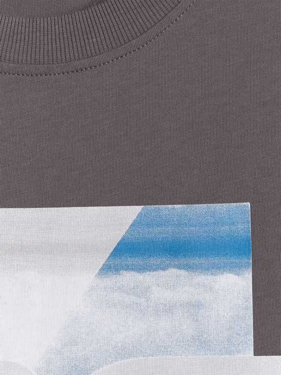 Męski t-shirt z nadrukiem 4F 4FWSS26TTSHM2660 - szary