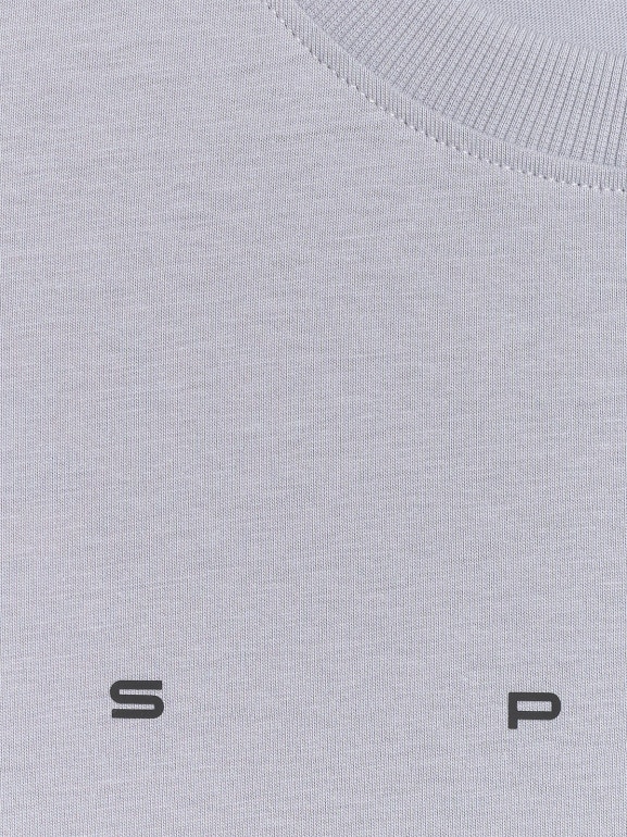 Męski t-shirt z nadrukiem 4F 4FWSS26TTSHM2661 - szary