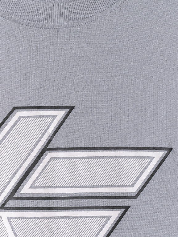 Męski t-shirt z nadrukiem 4F 4FWSS26TTSHM2662 - szary