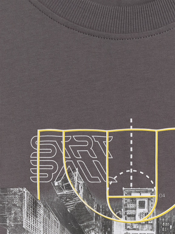 Męski t-shirt z nadrukiem 4F 4FWSS26TTSHM2664 - szary