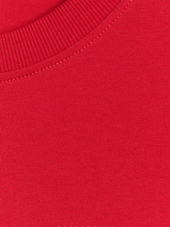 Męski t-shirt z nadrukiem 4F 4FWSS26TTSHM2666 - czerwony