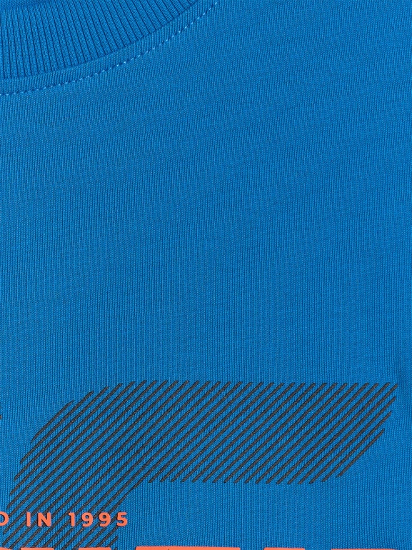 Męski t-shirt z nadrukiem 4F 4FWSS26TTSHM2666 - niebieski