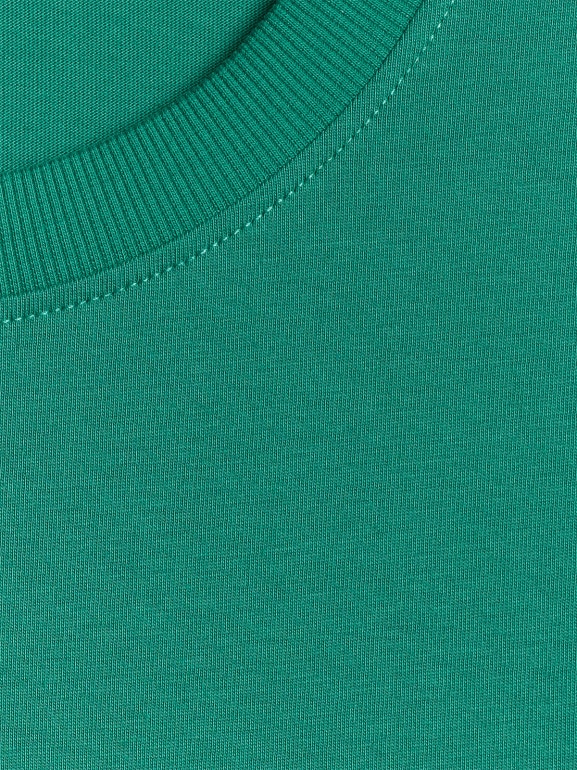 Męski t-shirt z nadrukiem 4F 4FWSS26TTSHM2666 - zielony