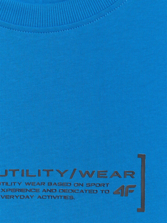 Męski t-shirt z nadrukiem 4F 4FWSS26TTSHM2668 - niebieski