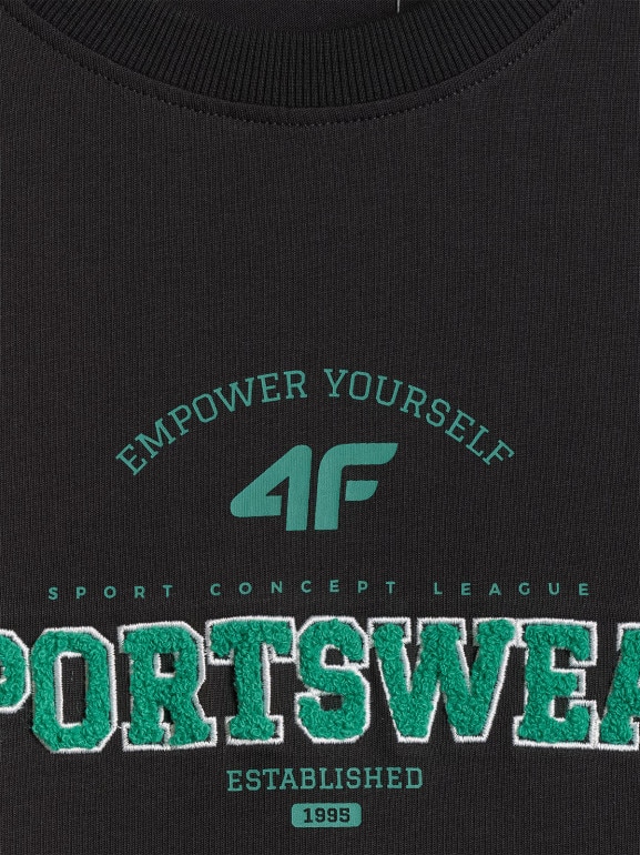 Męski t-shirt z nadrukiem 4F 4FWSS26TTSHM3324 - czarny