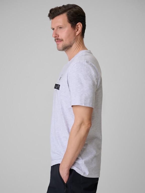 Męski t-shirt z nadrukiem 4F 4FWSS26TTSHM3324 - szary