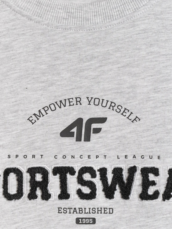 Męski t-shirt z nadrukiem 4F 4FWSS26TTSHM3324 - szary
