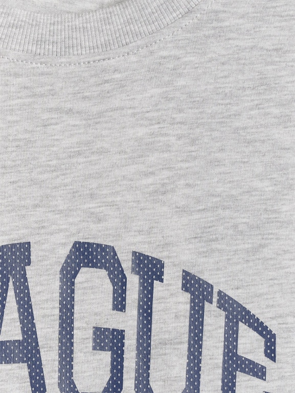 Męski t-shirt z nadrukiem 4F 4FWSS26TTSHM3326 - szary