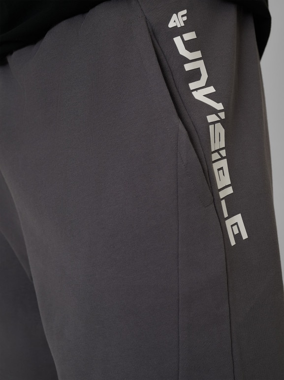 Męskie spodenki dresowe 4F 4FWSS26TSHOM744 - szare