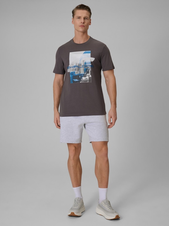 Męskie spodenki dresowe 4F 4FWSS26TSHOM744 - szare