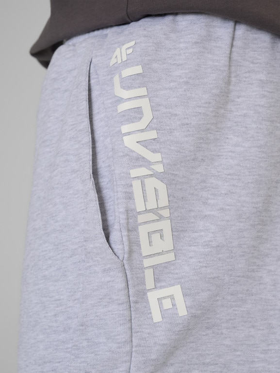 Męskie spodenki dresowe 4F 4FWSS26TSHOM744 - szare