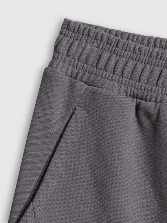 Męskie spodenki dresowe 4F 4FWSS26TSHOM744 - szare