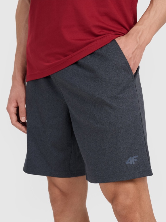 Męskie spodenki treningowe 4F 4FWMM00TFSHM1310 - szare