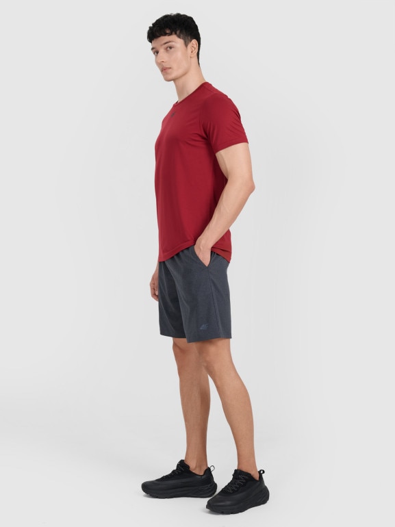 Męskie spodenki treningowe 4F 4FWMM00TFSHM1310 - szare