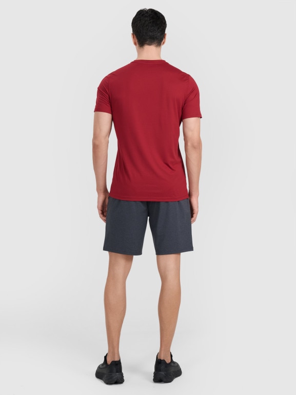 Męskie spodenki treningowe 4F 4FWMM00TFSHM1310 - szare