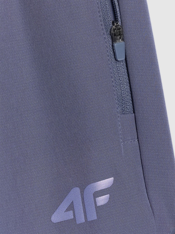 Męskie spodnie do biegania w terenie 4F 4FWAW25TFTRM0930 - niebieskie