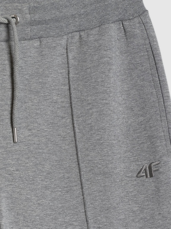 Męskie spodnie dresowe 4F 4FRSS26TTROM1856 - szare