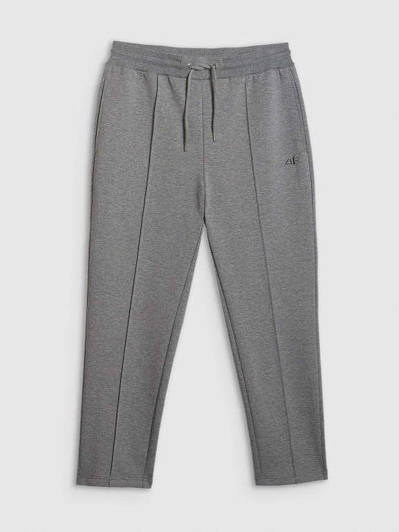 Męskie spodnie dresowe 4F 4FRSS26TTROM1856 - szare