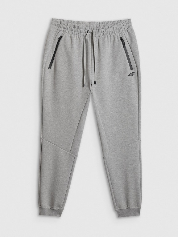 Męskie spodnie dresowe joggery 4F 4FRSS26TTROM1962 - szare