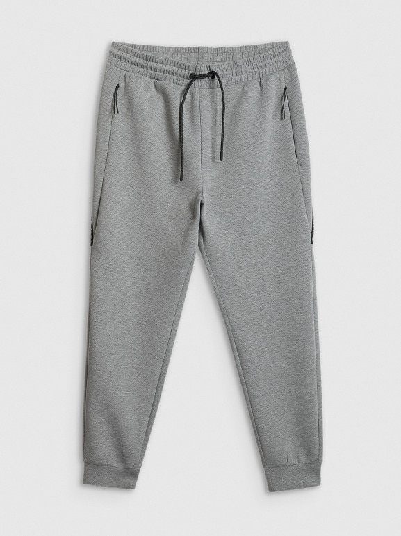 Męskie spodnie dresowe joggery 4F 4FWSS26TTROM1443 - szare