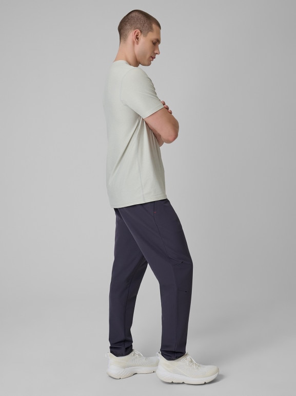 Męskie spodnie treningowe 4F 4FRSS26TFTRM1411 - szare