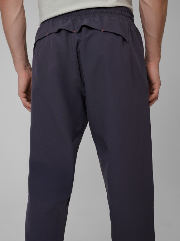 Męskie spodnie treningowe 4F 4FRSS26TFTRM1411 - szare