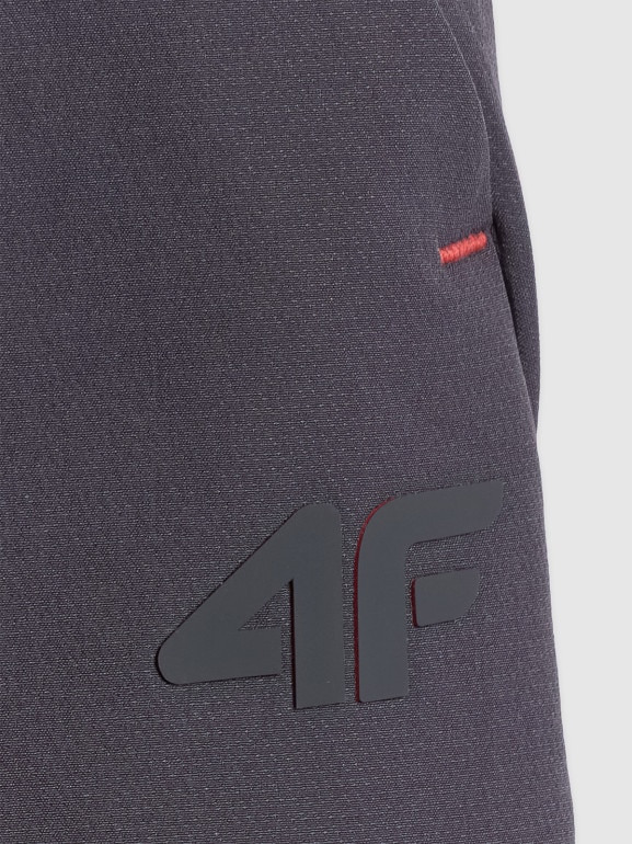 Męskie spodnie treningowe 4F 4FRSS26TFTRM1411 - szare