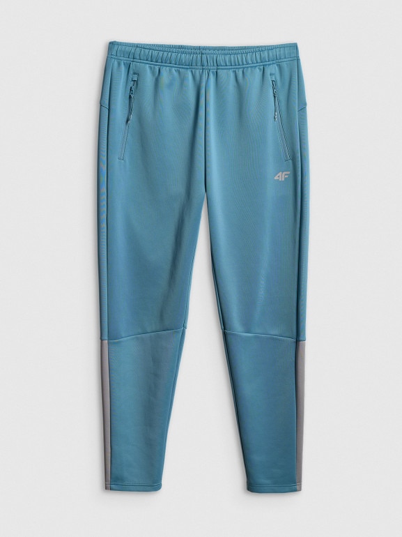 Męskie spodnie treningowe 4F 4FRSS26TFTRM1412 - niebieskie
