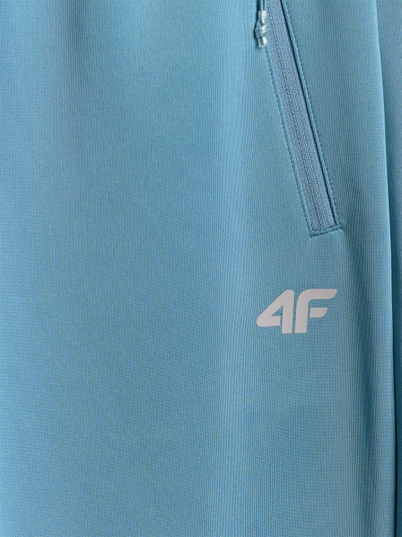 Męskie spodnie treningowe 4F 4FRSS26TFTRM1412 - niebieskie