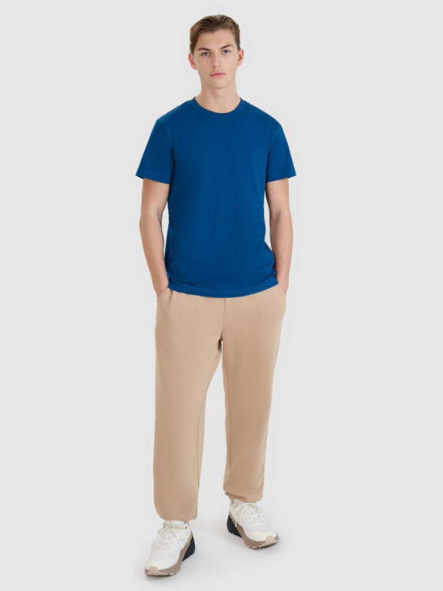 Męskie spodnie dresowe 4F 4FWSS25TTROM1042 - beżowe