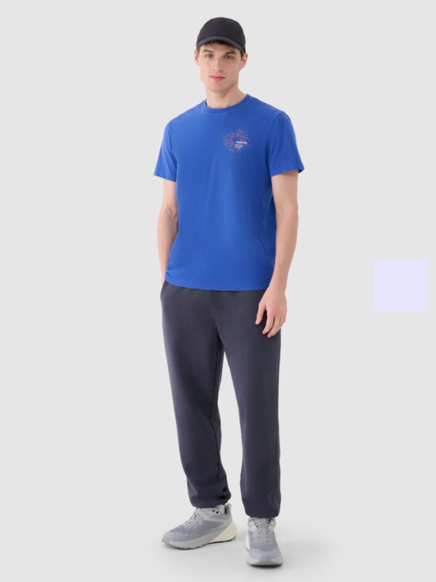 Męskie spodnie dresowe 4F 4FWSS25TTROM1120 - szare