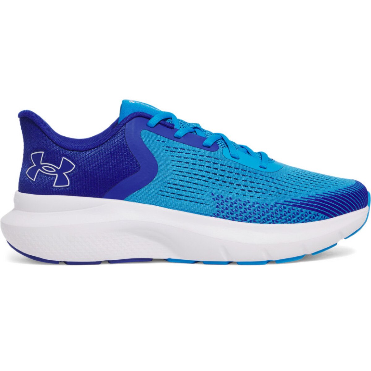 Męskie buty do biegania Under Armour UA Charged Rogue 5 - niebieskie