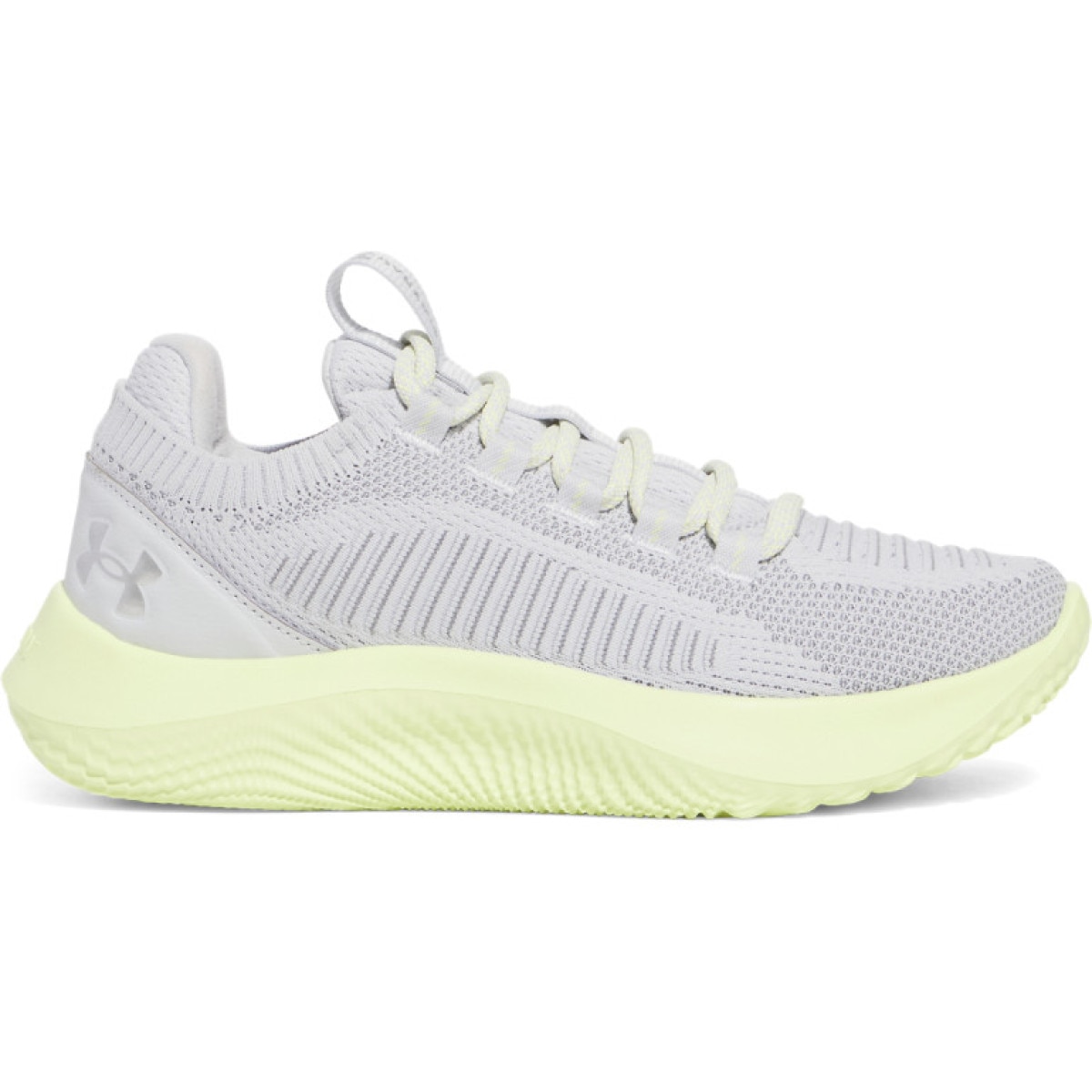 Damskie buty treningowe Under Armour UA W Dynamic 2 - szare