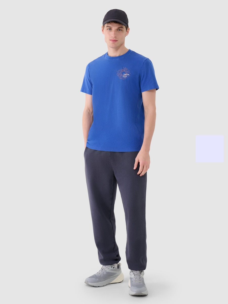 Męskie spodnie dresowe 4F 4FWSS25TTROM1120 - szare