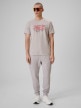 mini: Męski t-shirt z nadrukiem 4F 4FRSS26TTSHM3804 - beżowy (2)